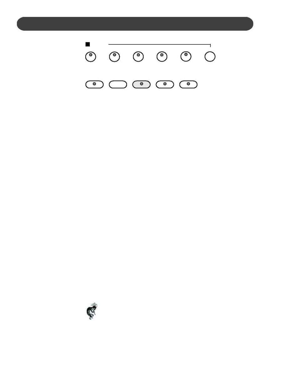 Suzuki - instruction manual