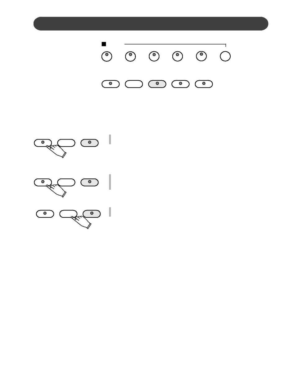Suzuki - instruction manual