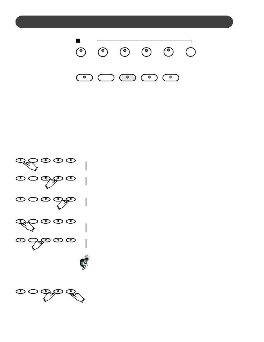 Suzuki - instruction manual
