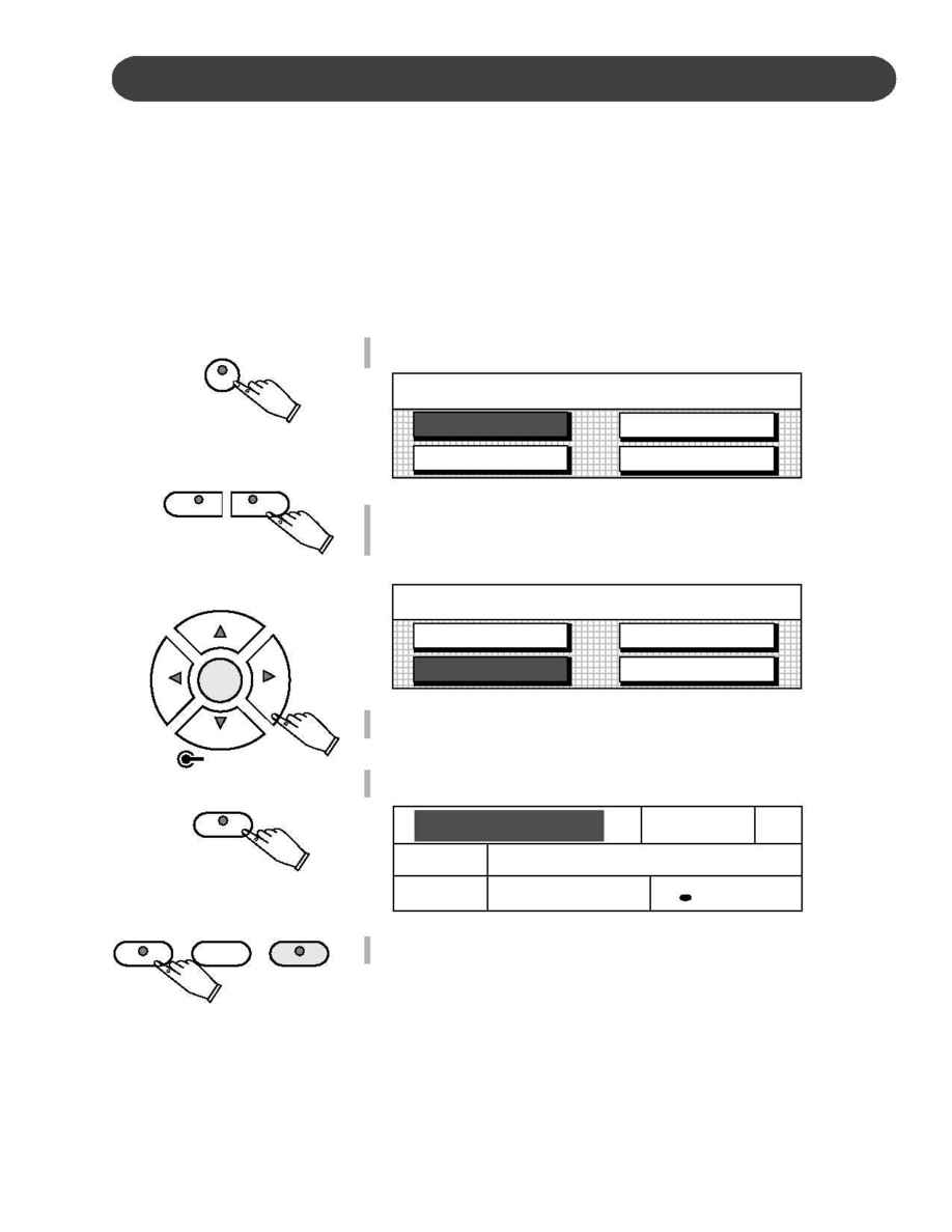 Suzuki - instruction manual