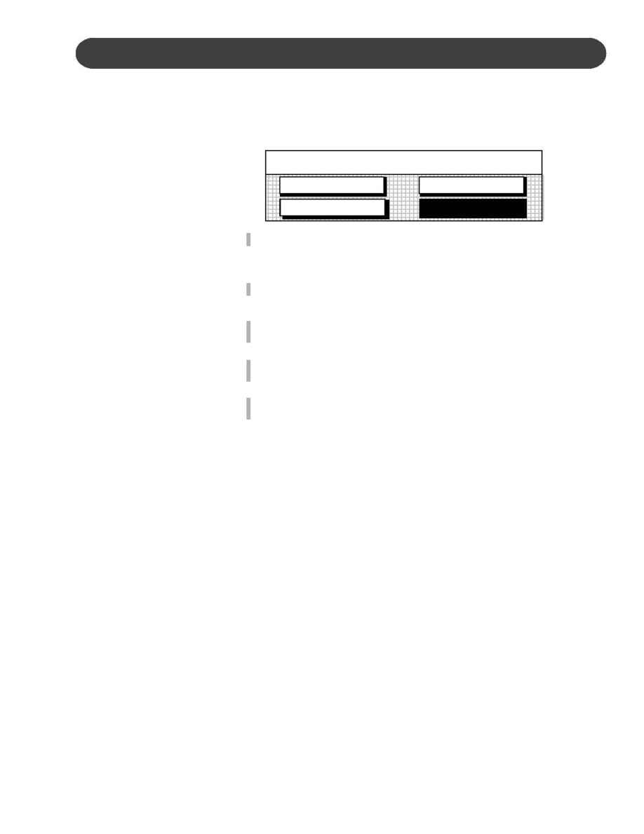 Suzuki - instruction manual