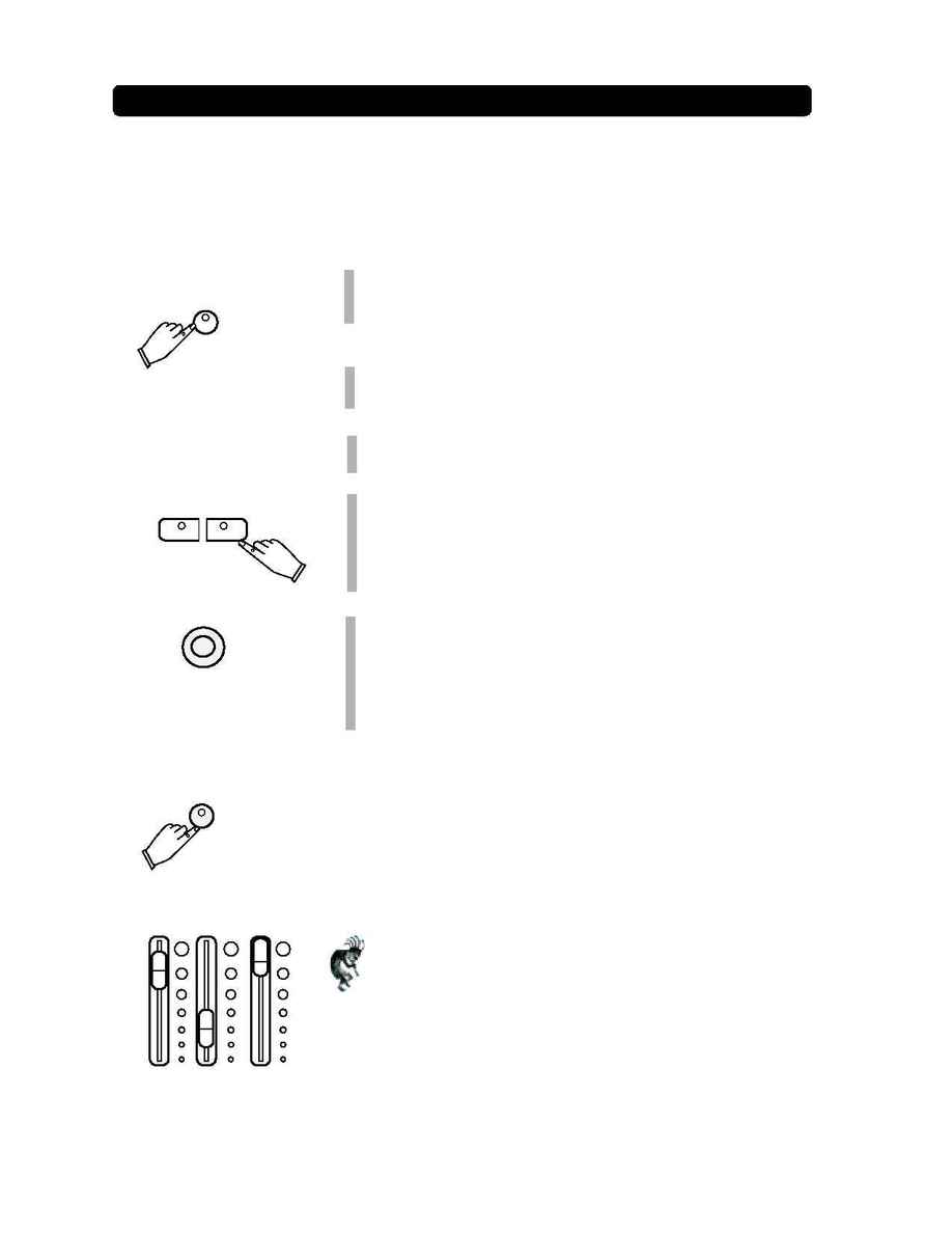 Suzuki - quick start guide