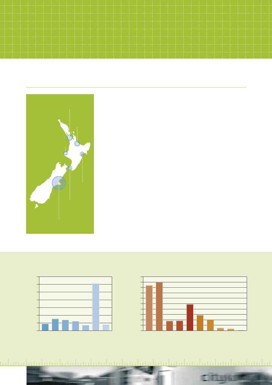 City Care - Performance Report 2004