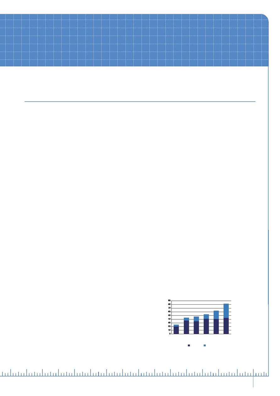 City Care - Performance report 2005