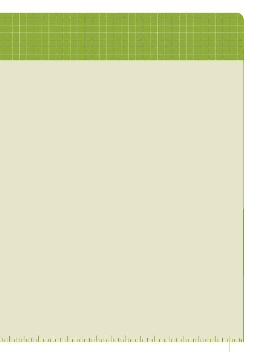 City Care - Performance report 2005