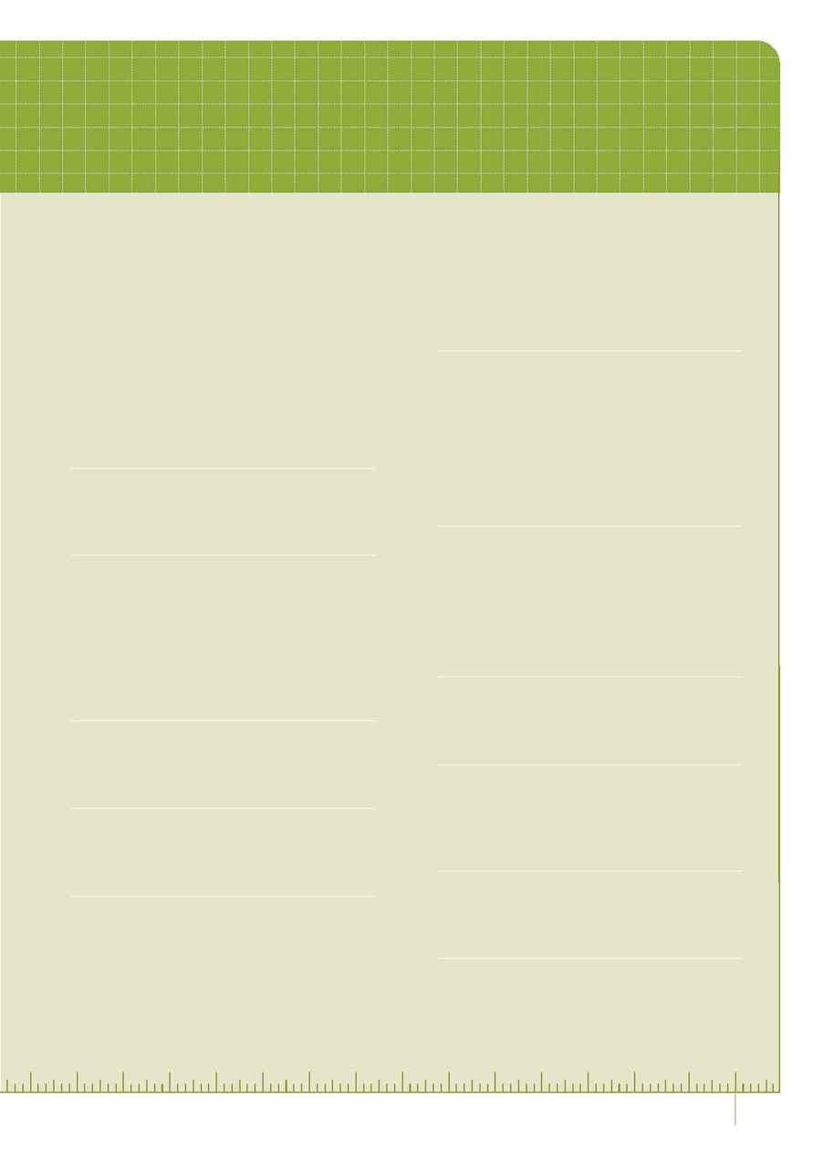 City Care - Performance report 2005