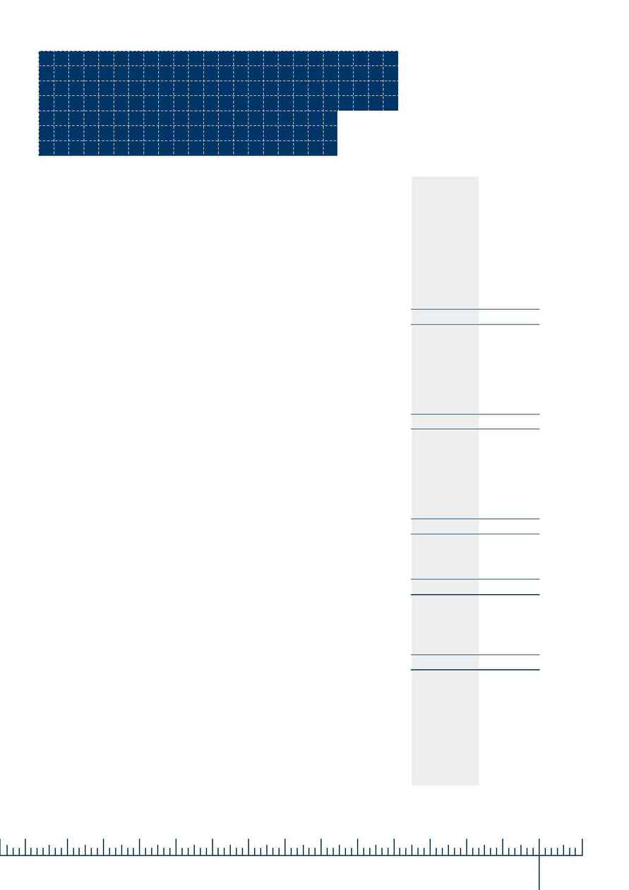 City Care - Performance report 2006