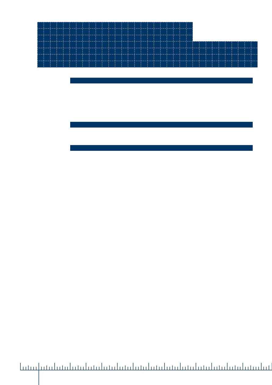 City Care - Performance report 2006
