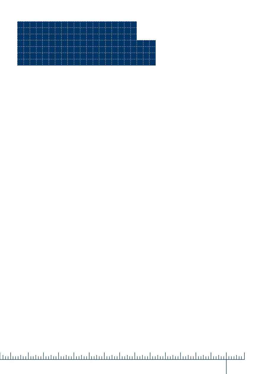 City Care - Performance report 2006