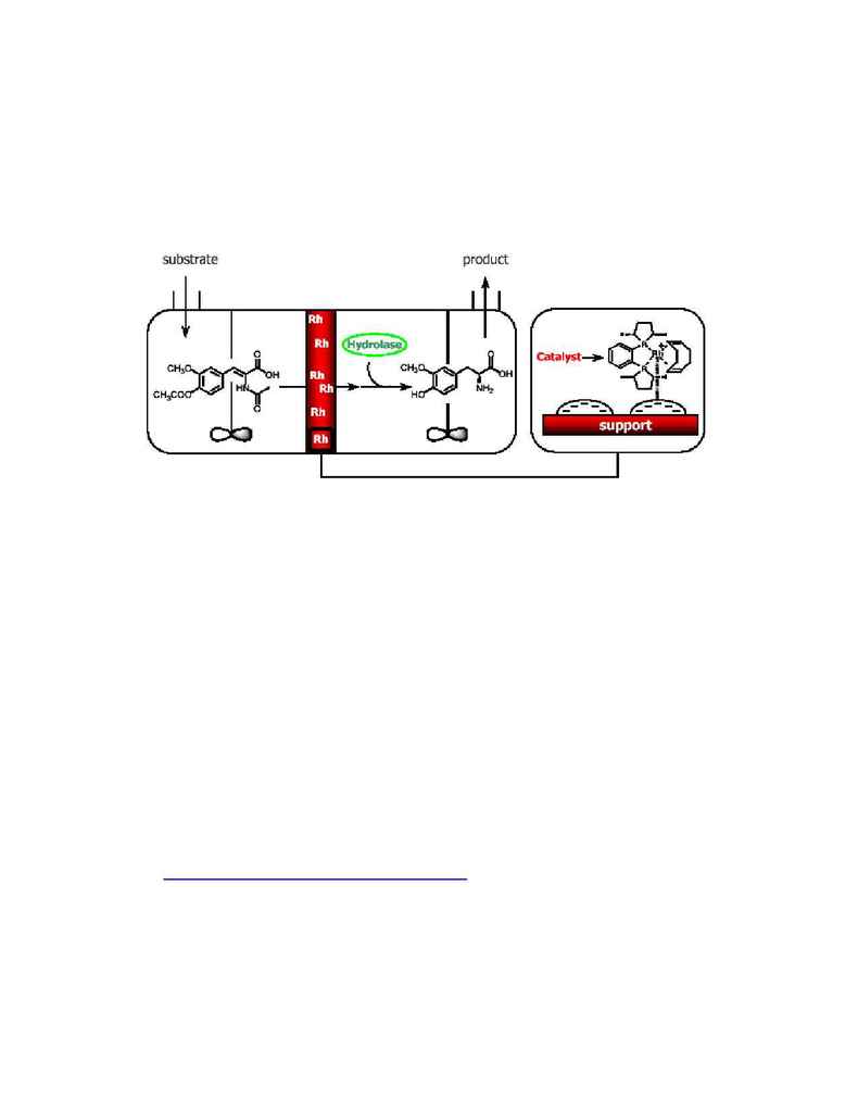 Kolmetz.com - Chem review